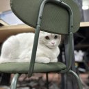 삼작로79번길 이미지