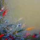 해빵이네 이미지