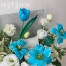 에클로플라워 이미지