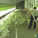 모랭농장 이미지