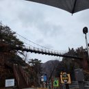 마켓팔봉 이미지