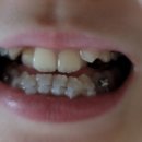 트리플치과의원 이미지