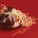 나의 동물메디컬 센터 이미지