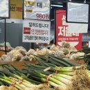 1225 | 남양주 평내동 와마트 세일 방문 후기 wamart 행사 정보 총정리