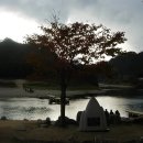 청령포초등학교 이미지