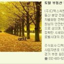주식회사 디맥스 Daum카페