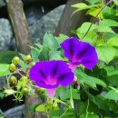 무원초등학교 이미지