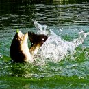 성지골낚시터 이미지