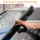 마스터코팅강릉점
