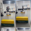 신문 성공태권도장 이미지