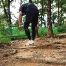 바딘세이프