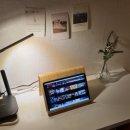 망고 스테이 이미지