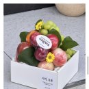 알리바이첨단점 | 다온 퓨전한정식’에서 상견례 성공시대 발견한 후기 (광주 상견례 맛집 / 다온 퓨전한정식 / 상견례...