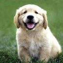 동광건설기계 이미지