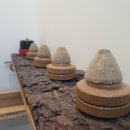 순천한의원 이미지