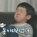 북부신진자동차운전학원