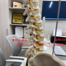 경희튼튼본한의원 이미지