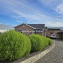 다육농가민박 이미지