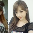 트랜스머리