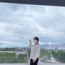 플라플로 이미지