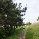 신대 태양광발전소 이미지