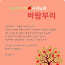 바람부리애플700 이미지