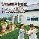 연농장 | 아이랑 구미 연의하루 체험농장 추석시즌 연잎바람떡 만들기 및 농장이용 후기