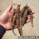 덕만농장 이미지