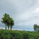 남원읍-42 이미지