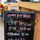 마리에소니 이미지