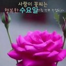 대륙타이어