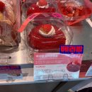 서신동-03(파리바게트앞) | 파리바게트 베리밤 페스타 후기 딸기빵 3종 솔직하게 먹어봄