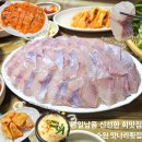 수원맛집 탱글탱글 신선한 줄돔 회, 무한리필 멍게 계란찜 수원역 횟집 맛나라횟집