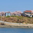 엘파로펜션