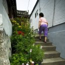 화개4길 이미지