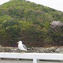 석모도수목원 이미지