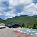 포레스트 월악 이미지