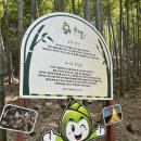 맹종죽테마공원 | 거제도여행 : 거제가볼만한곳 추천 거제대나무숲길 거제맹종죽테마파크