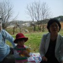 천원목장 이미지