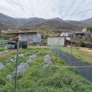 밀양시 상동면 안인리(대300평,농막설치,평당60만) 이미지