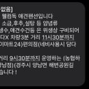 웰컴독 애견펜션 이미지