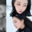 모텔와인 이미지