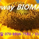 정보인터넷활용 이미지