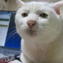 송천커피상회