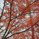 좋은친구들 이미지