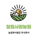 티앤티스토어 네이버블로그