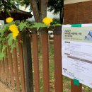 장은3리경로당 이미지