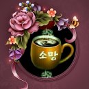 너에게주는커피 이미지