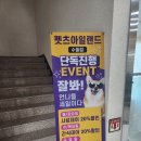 펫츠아일랜드 이미지