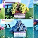 강화섬농장 이미지